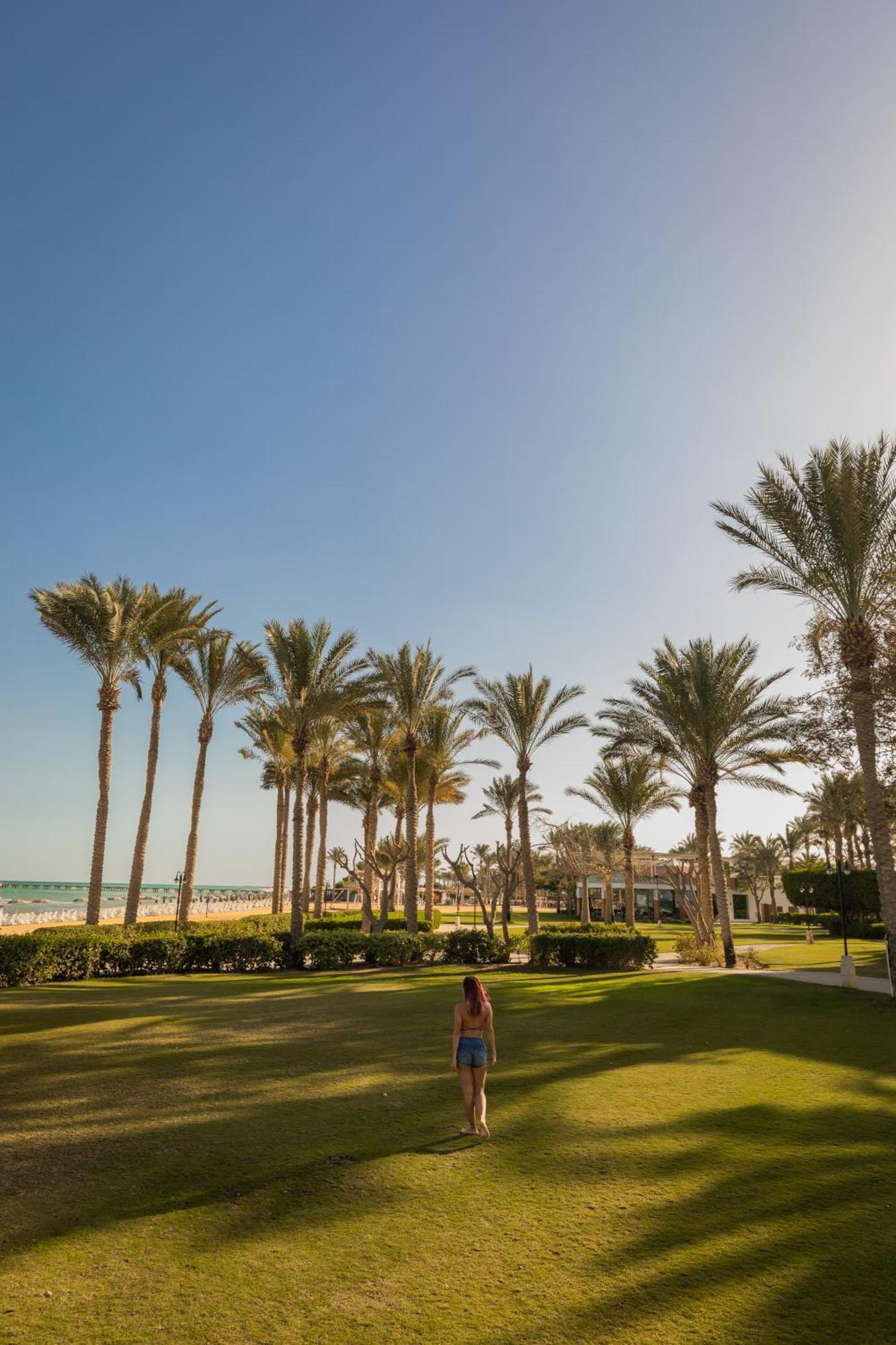 עיין סוחנה Stella Di Mare Grand Hotel מראה חיצוני תמונה Palm trees in El Alamein